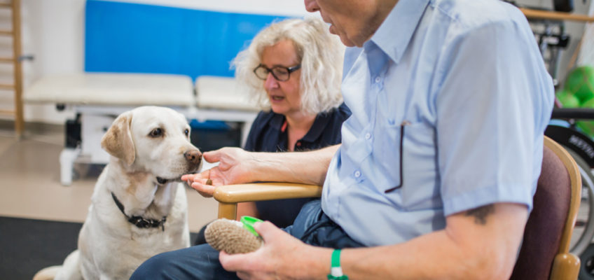 Labradorhündin Lotte lässt Patienten der Klinik für Geriatrie strahlen